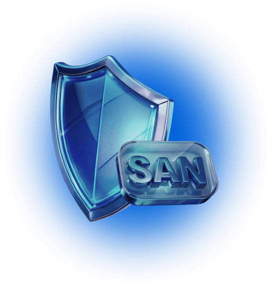 
<span>Мультидоменные  SSL-сертификаты SAN</span>

